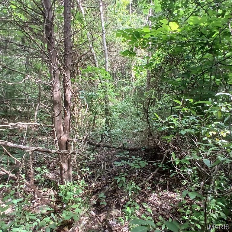 3536 3535 Washington Dr Property Photo 2