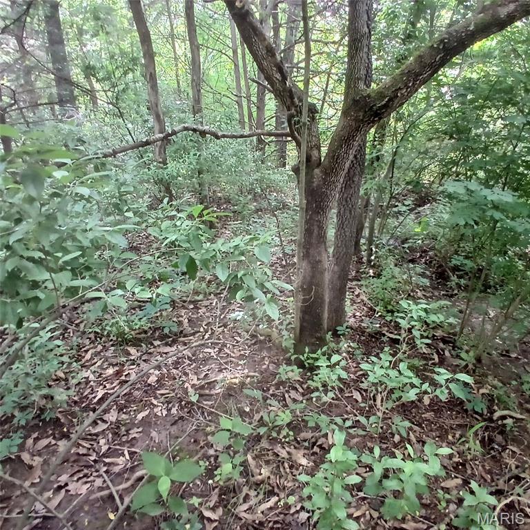 3536 3535 Washington Dr Property Photo 3