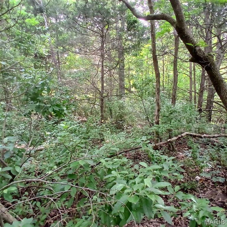 3536 3535 Washington Dr Property Photo 4