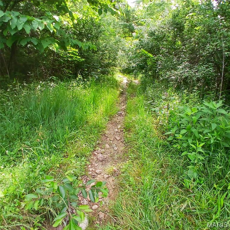 3536 3535 Washington Dr Property Photo 5