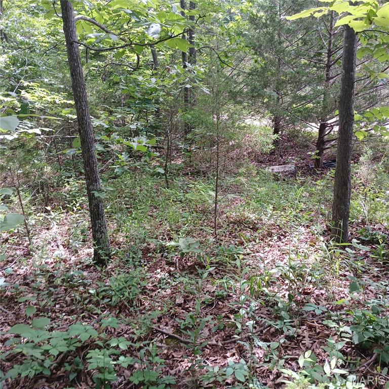 Lot 3113 Quincy Property Photo 2