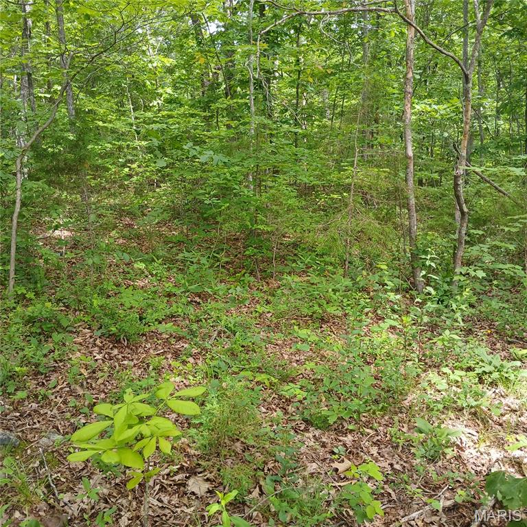 Lot 3113 Quincy Property Photo 3