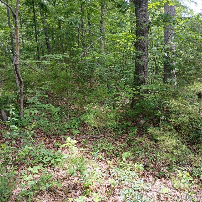 Lot 3113 Quincy Property Photo 4