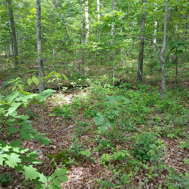 Lot 3113 Quincy Property Photo 5