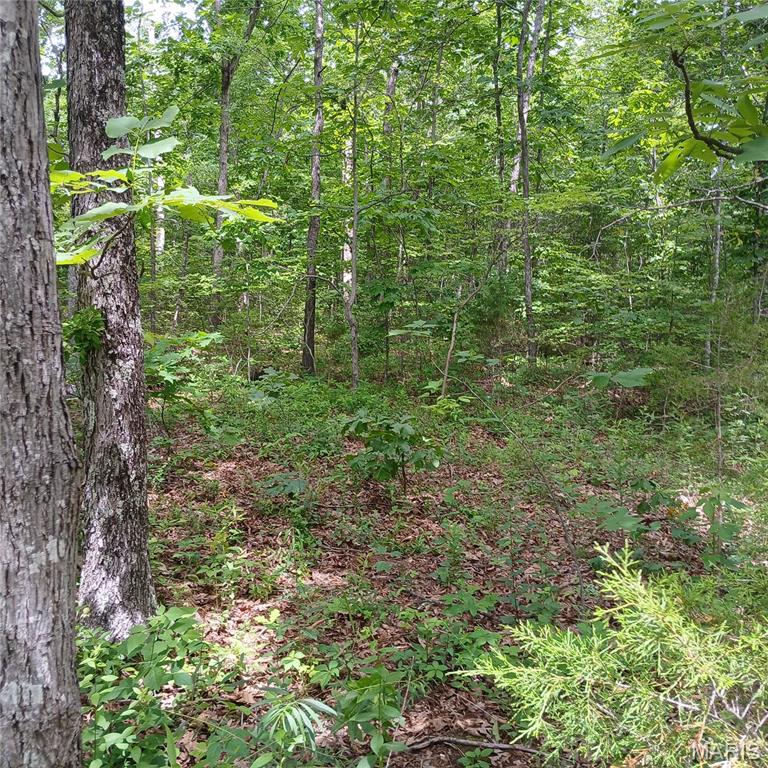 Lot 3656 365 Imperial Property Photo 2