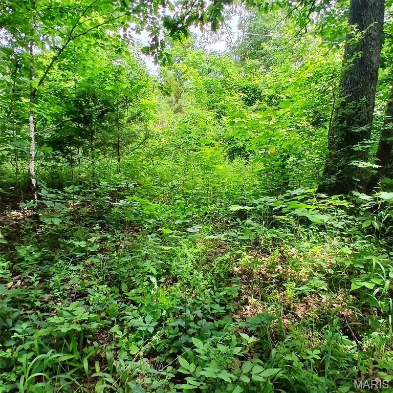 Lot 3656 365 Imperial Property Photo 7