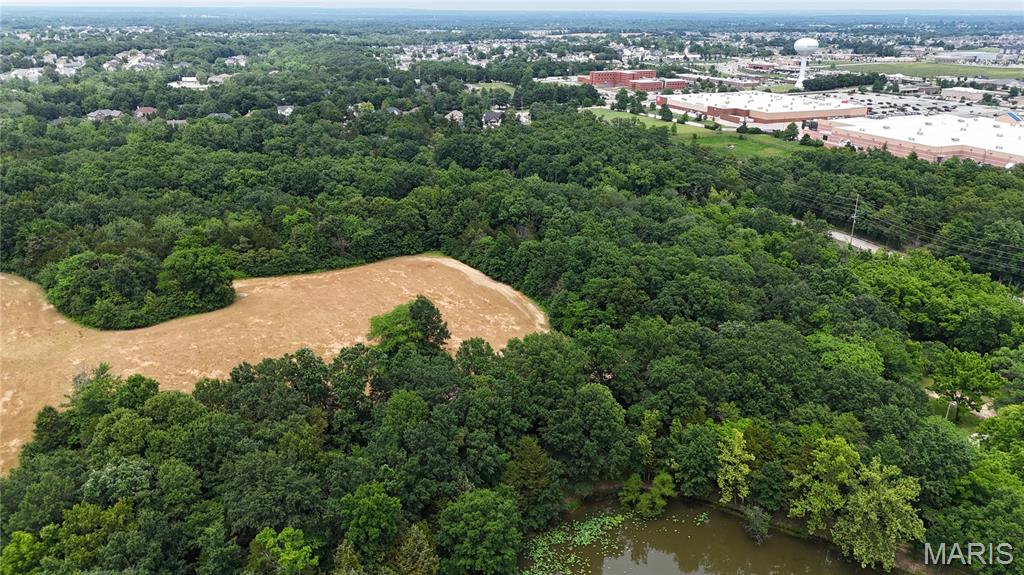 9 Acres May Road Property Photo 3