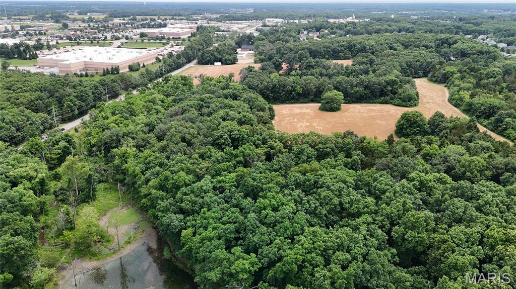 9 Acres May Road Property Photo 7