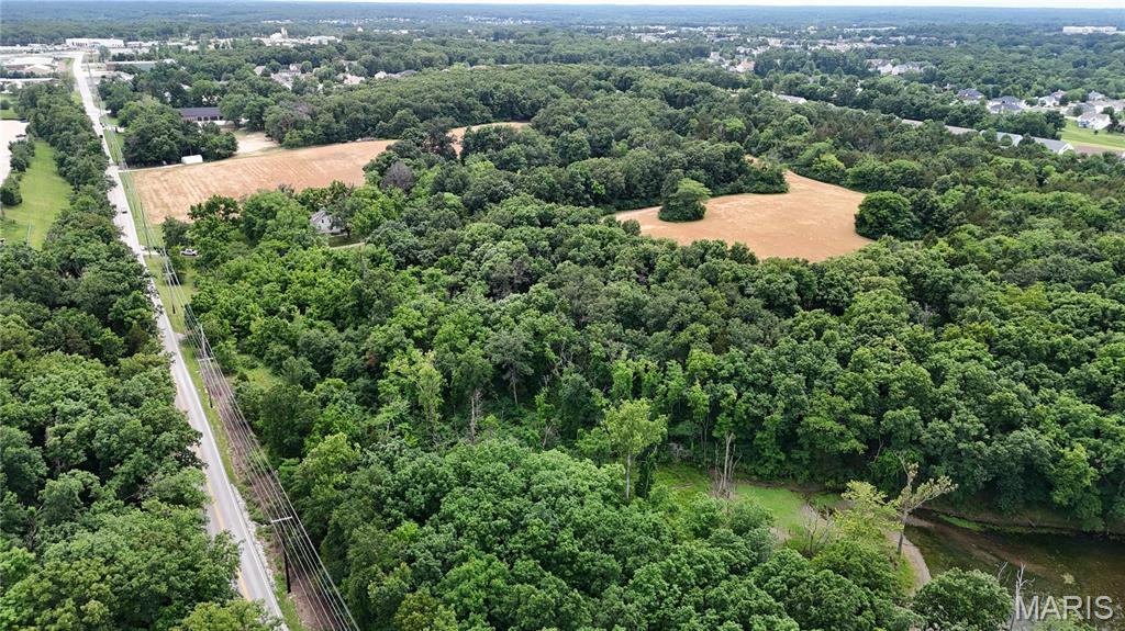 9 Acres May Road Property Photo 8