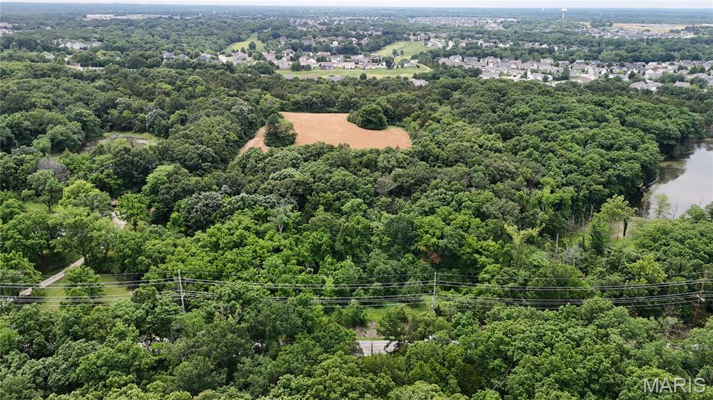 9 Acres May Road Property Photo 10
