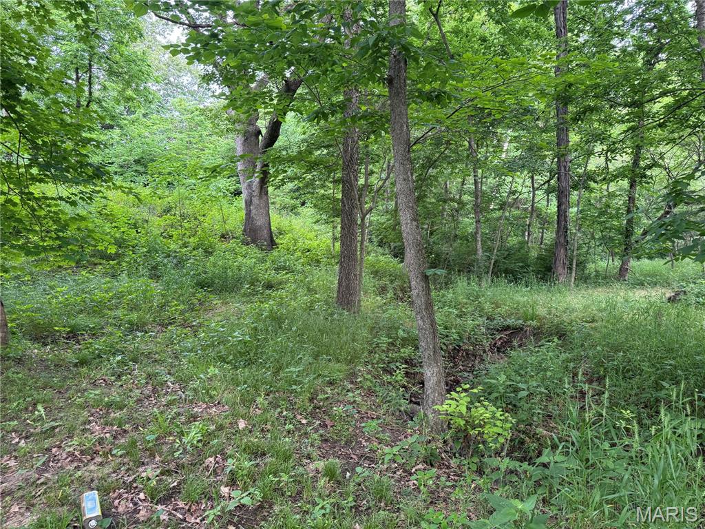 Tbd Panama Avenue Property Photo 3