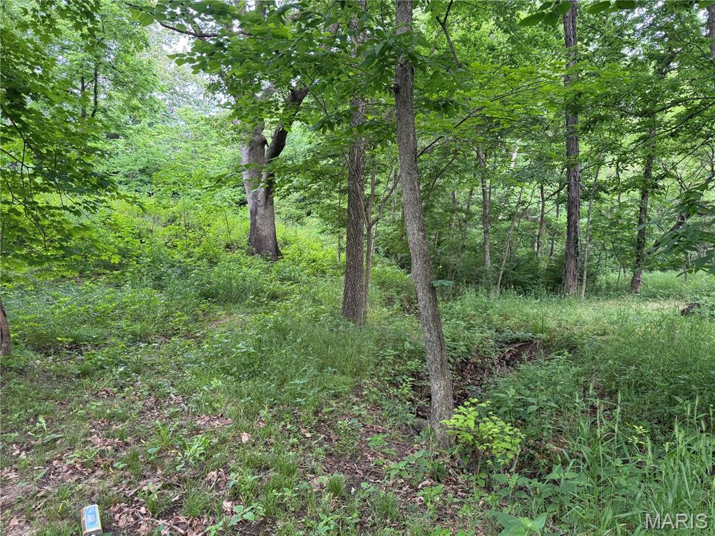 Tbd Panama Avenue Property Photo 4