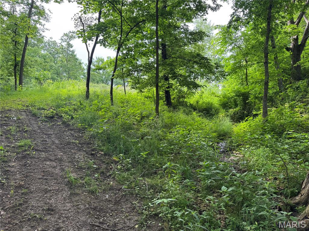 Tbd Panama Avenue Property Photo 5