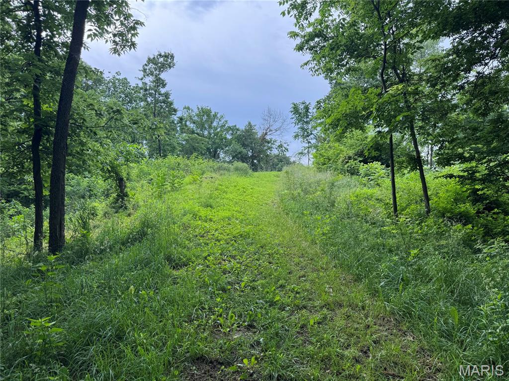 Tbd Panama Avenue Property Photo 6