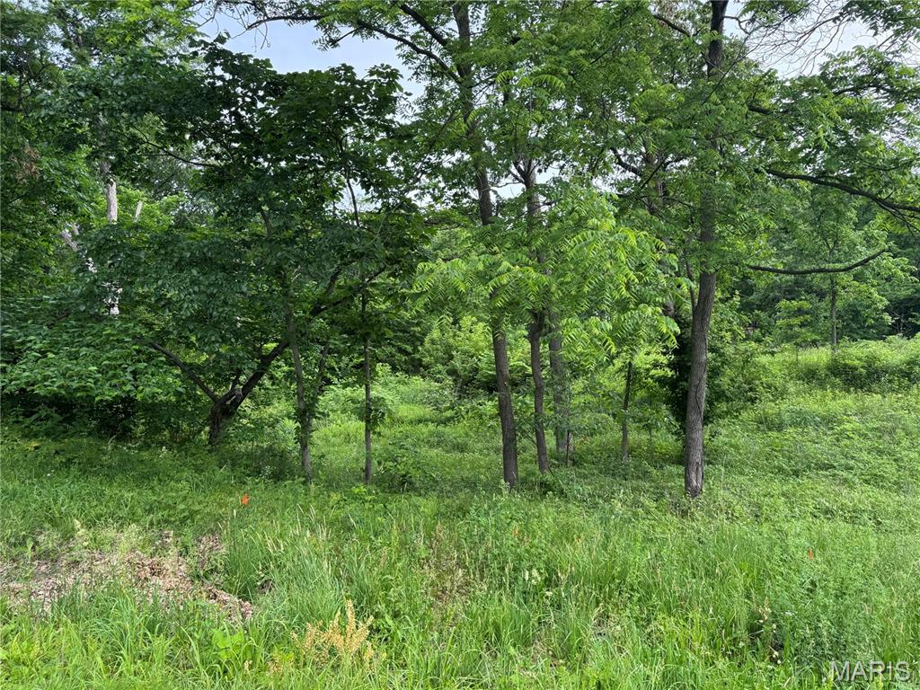 Tbd Panama Avenue Property Photo 9
