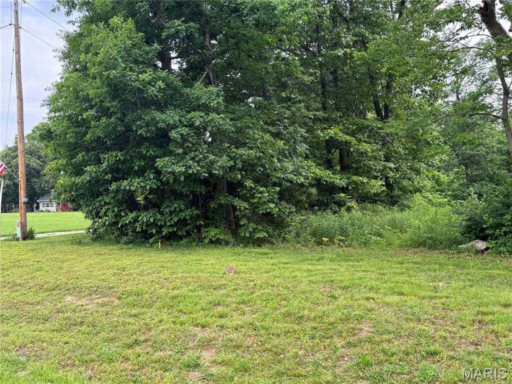 Tbd Panama Avenue Property Photo 11