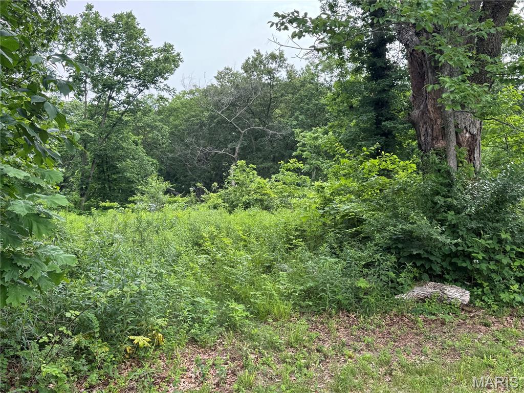 Tbd Panama Avenue Property Photo 12