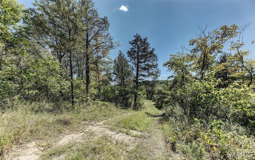 43 Acres +/- Ridge Rd Property Photo 3