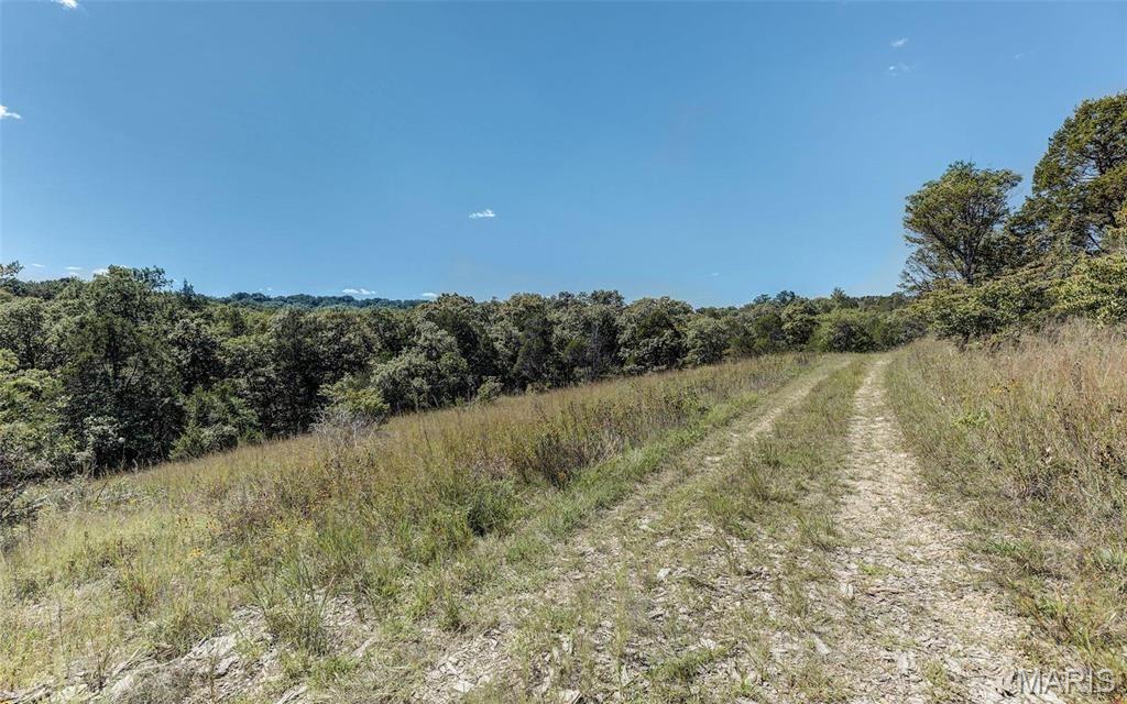 43 Acres +/- Ridge Rd Property Photo 4