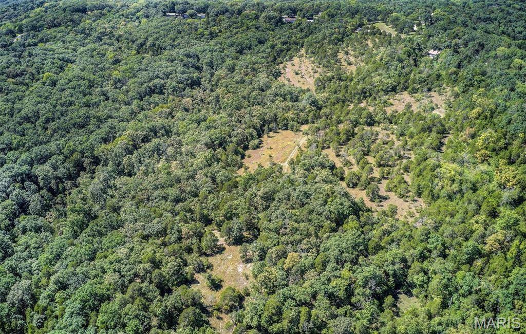 43 Acres +/- Ridge Rd Property Photo 5
