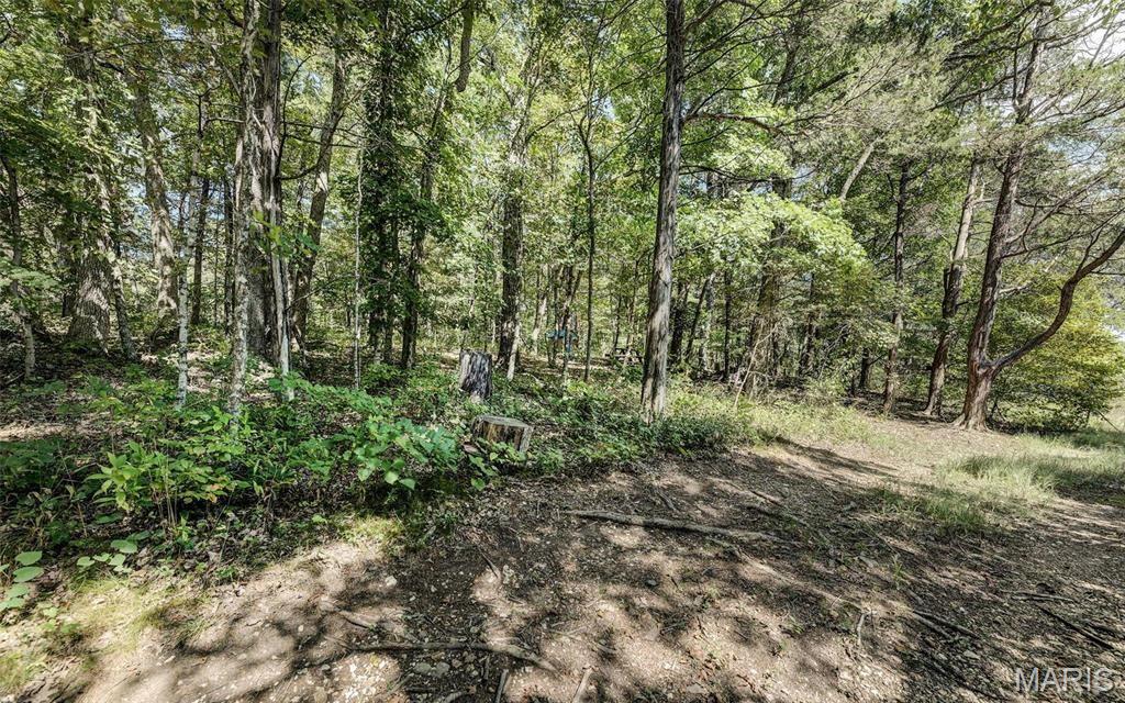 43 Acres +/- Ridge Rd Property Photo 7