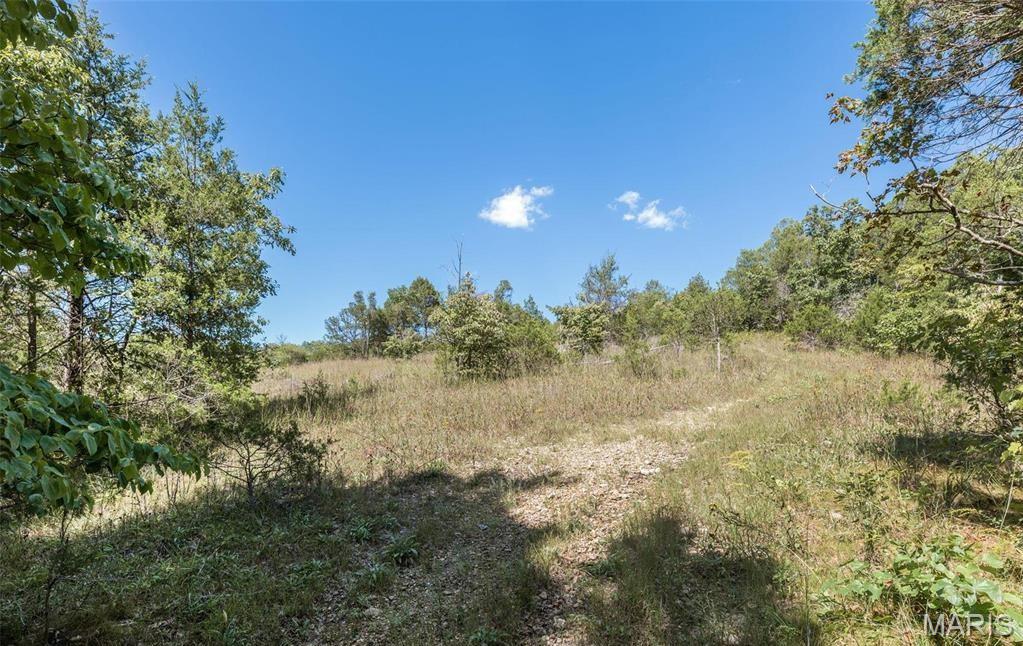 43 Acres +/- Ridge Rd Property Photo 8