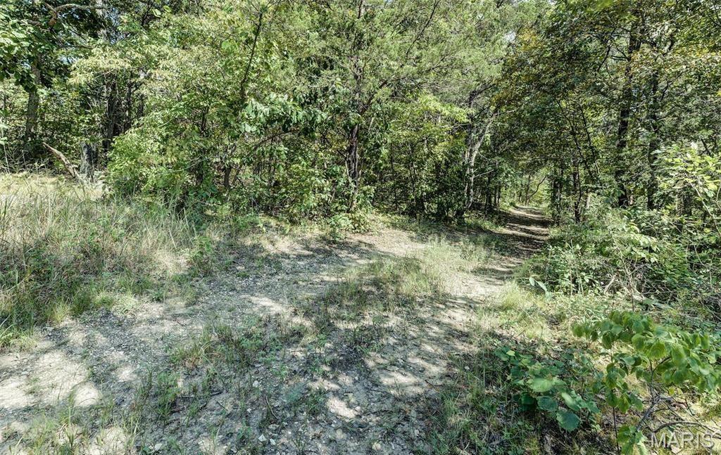 43 Acres +/- Ridge Rd Property Photo 9