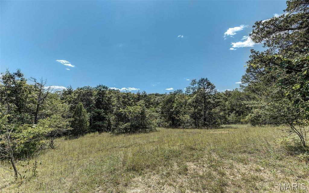 43 Acres +/- Ridge Rd Property Photo 11