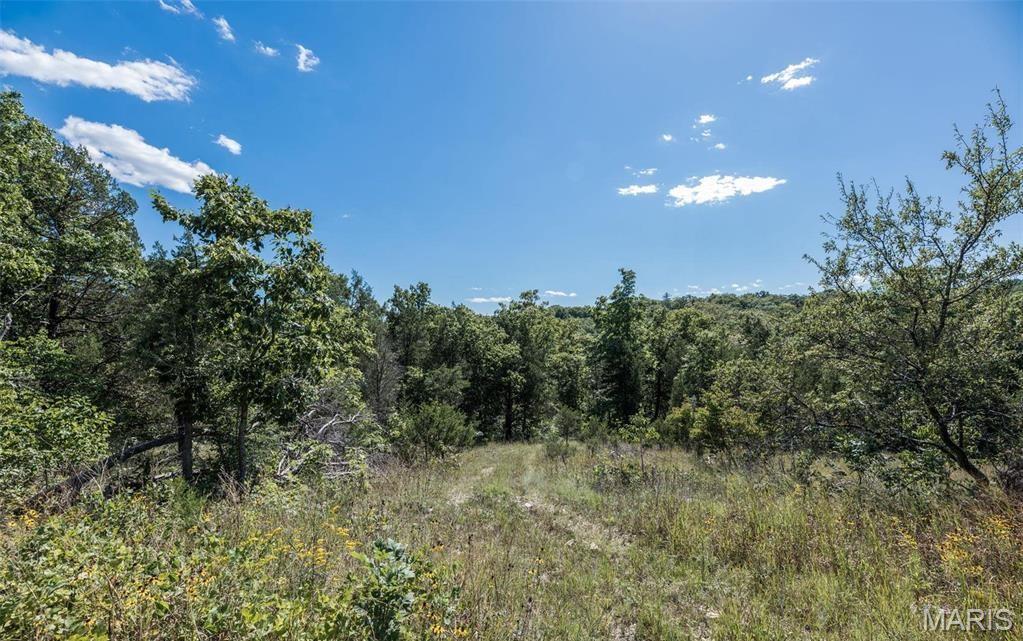 43 Acres +/- Ridge Rd Property Photo 12
