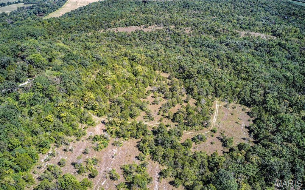 43 Acres +/- Ridge Rd Property Photo 13