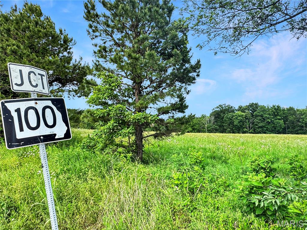 29 Acres Ml Highway C Property Photo 12