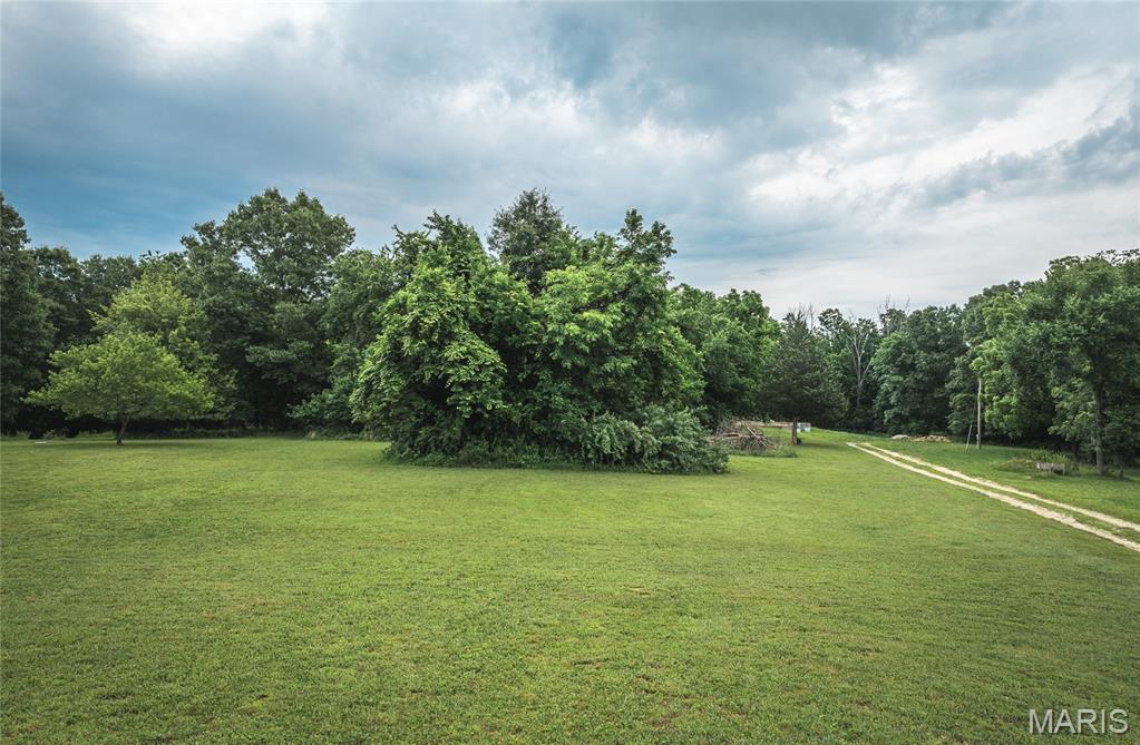 10375 Summerfield Drive Property Photo 4