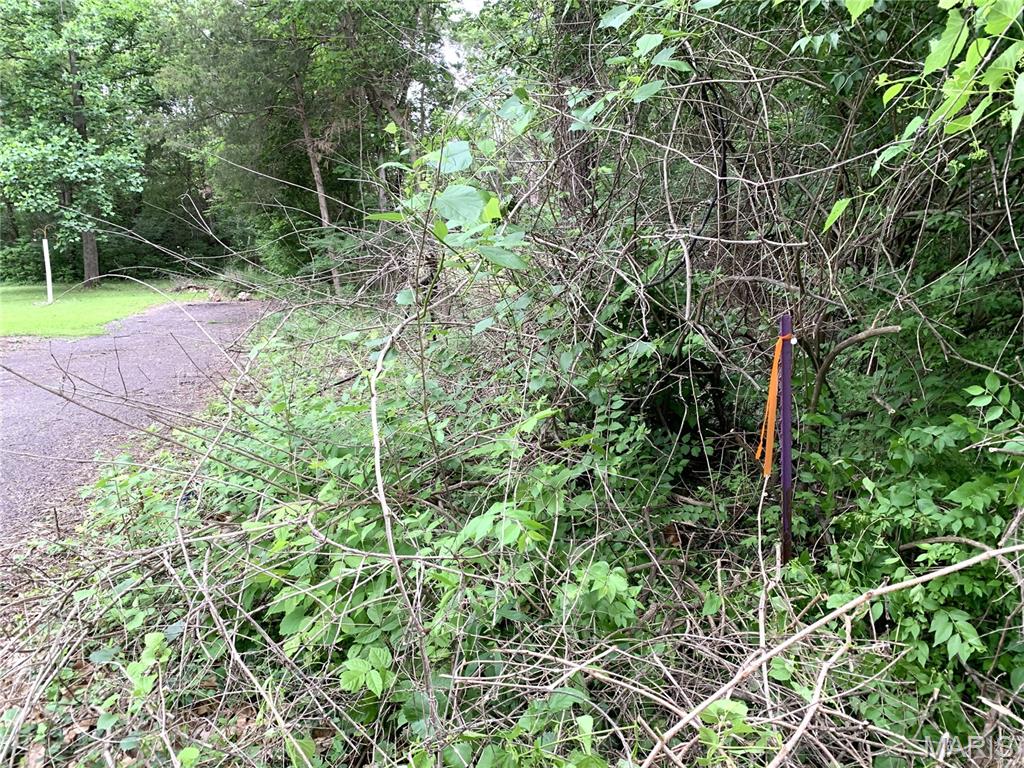 11 Acres - High Street Property Photo 9