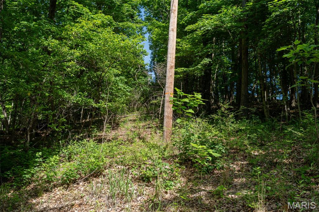 11 Acres - High Street Property Photo 14