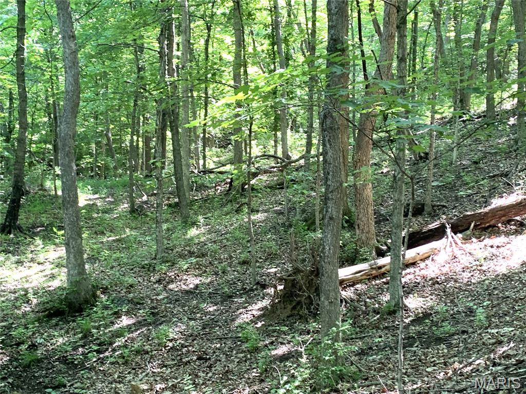 11 Acres - High Street Property Photo 18