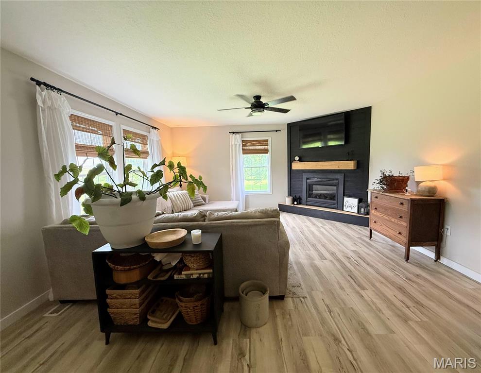 30135 Katydid St Property Photo 4