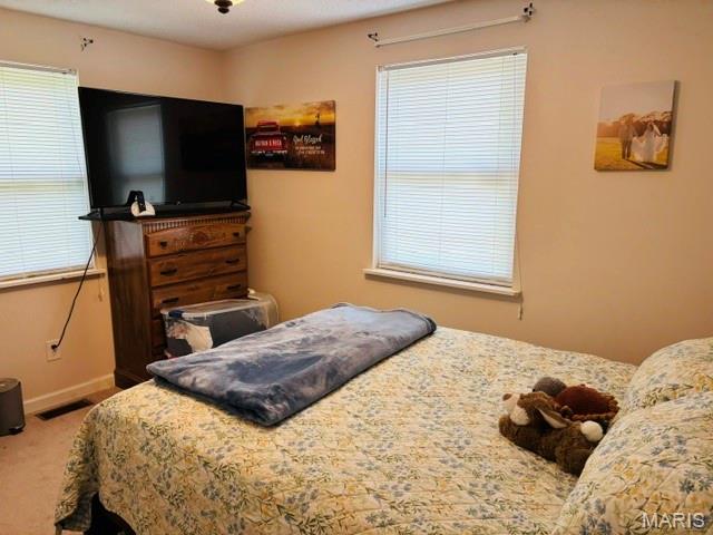 18826 State Route O Property Photo 30