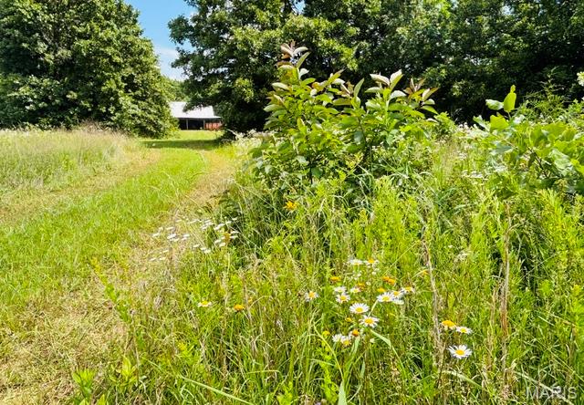 18826 State Route O Property Photo 51
