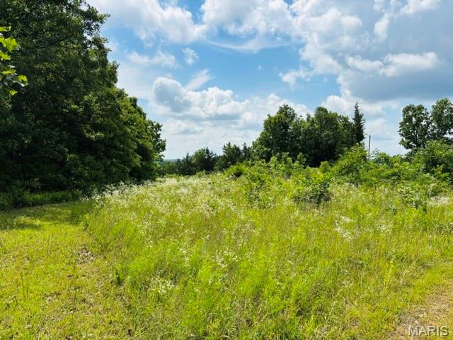 18826 State Route O Property Photo 58