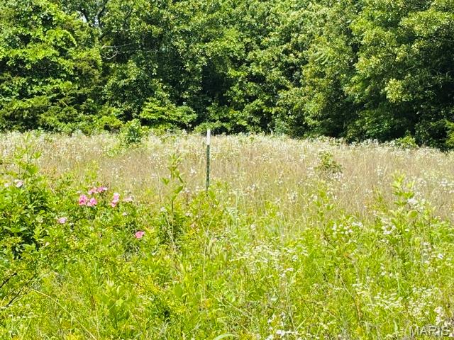 18826 State Route O Property Photo 59