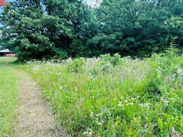18826 State Route O Property Photo 60