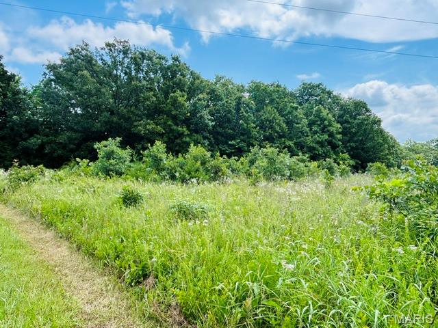 18826 State Route O Property Photo 61