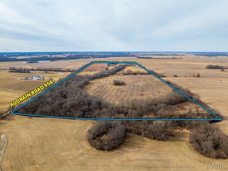 15656 Audrain Road 923 Property Photo 23