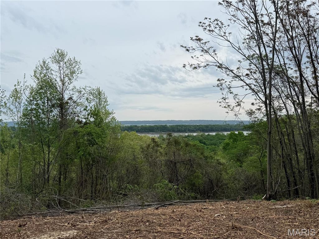 11365 River Hills Road Property Photo 3