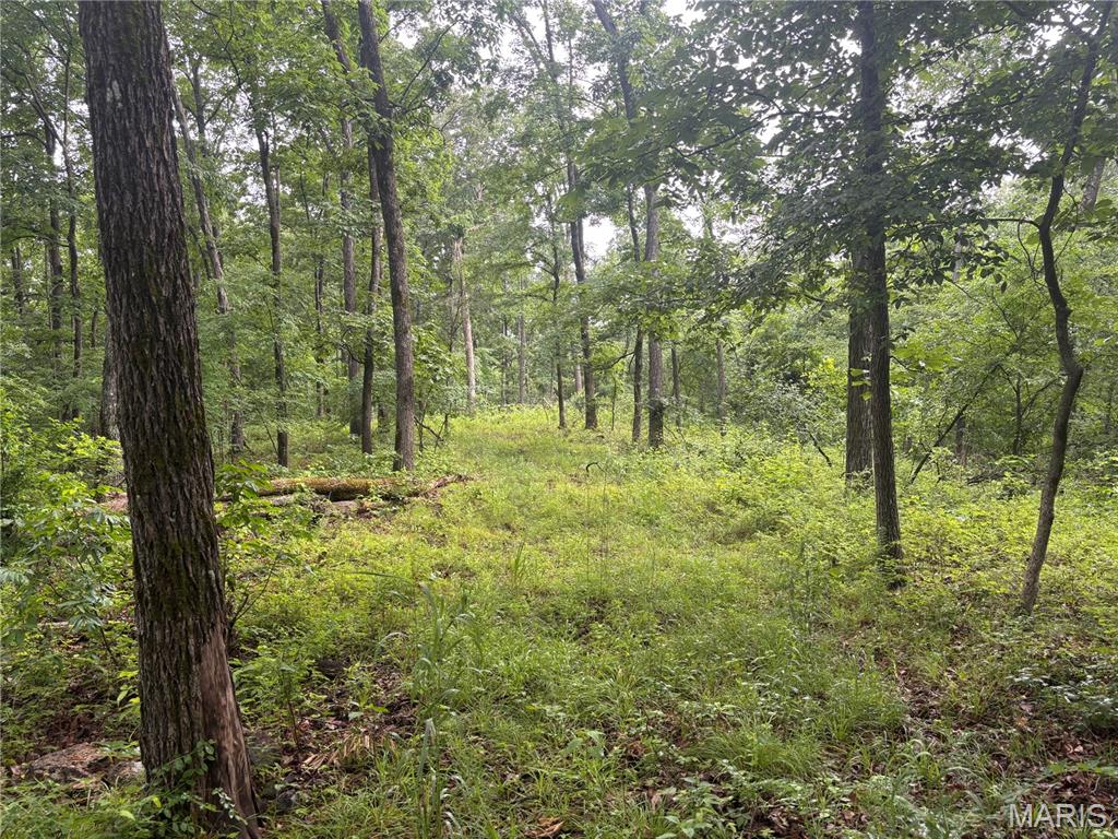 101 County Road 389 Property Photo 25