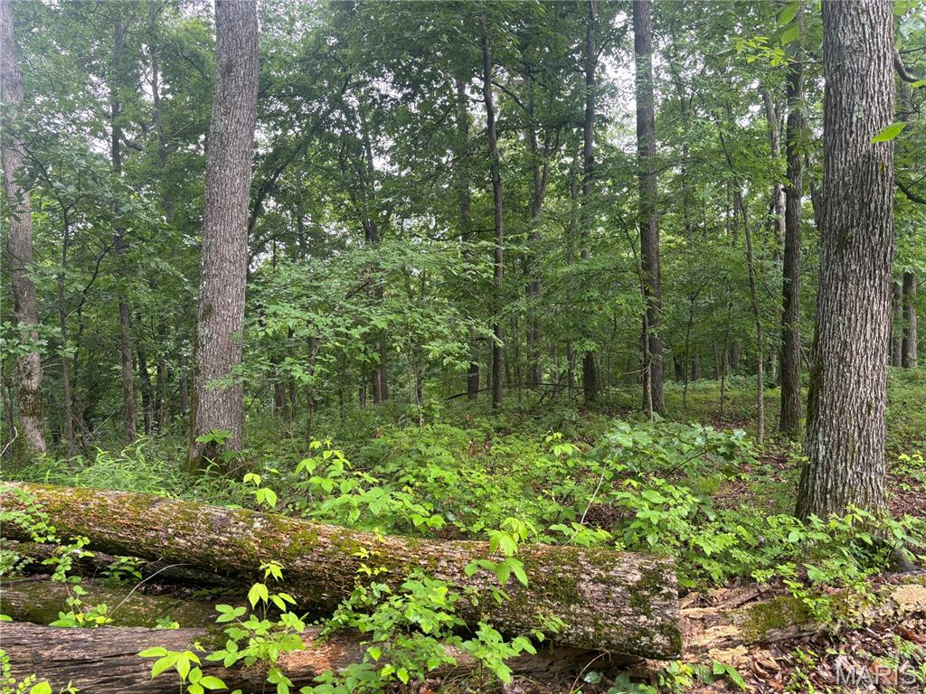 101 County Road 389 Property Photo 26