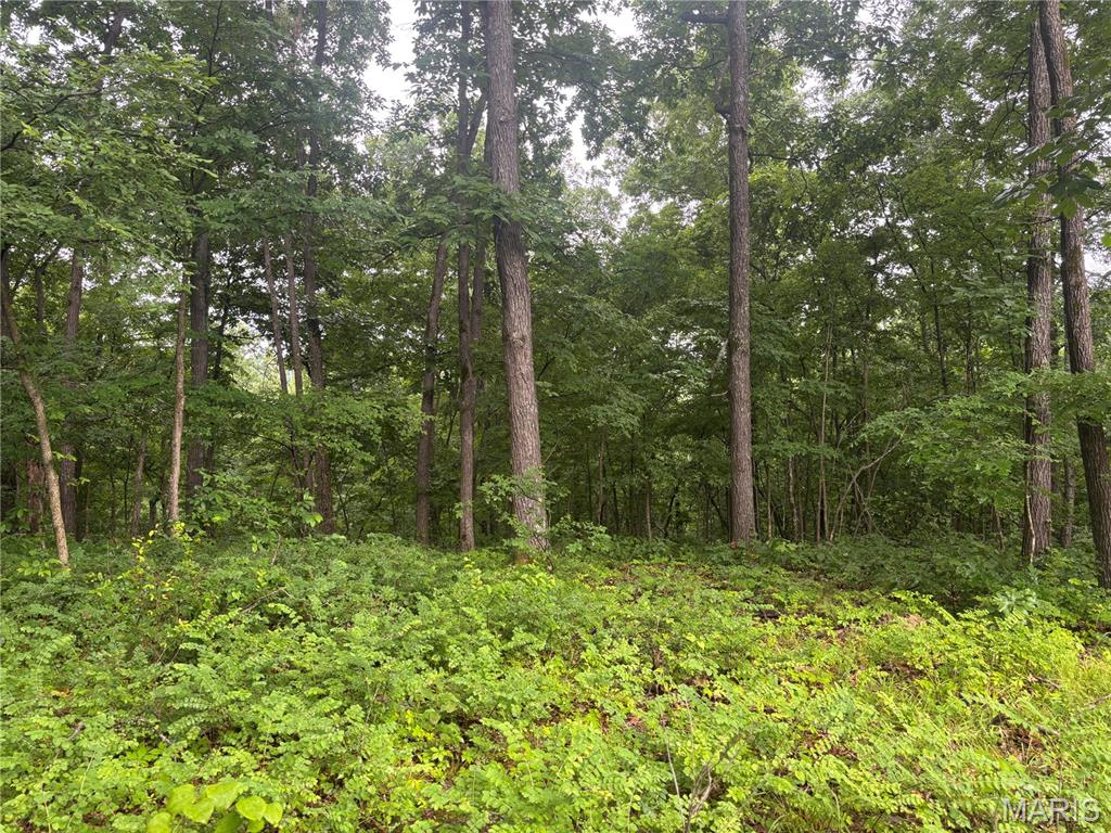 101 County Road 389 Property Photo 27