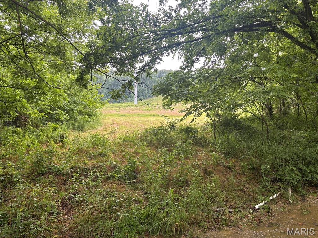 101 County Road 389 Property Photo 34
