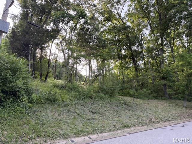 702 Salt Mill Road Property Photo 6