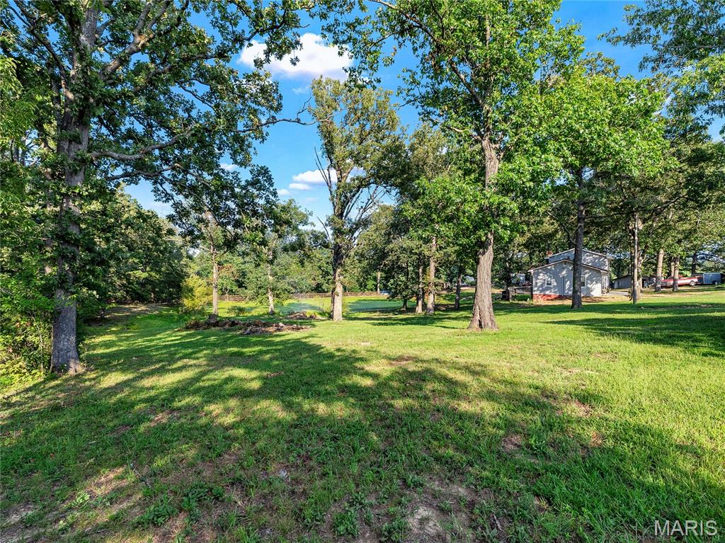 1838 Spring Bluff Road Property Photo 5